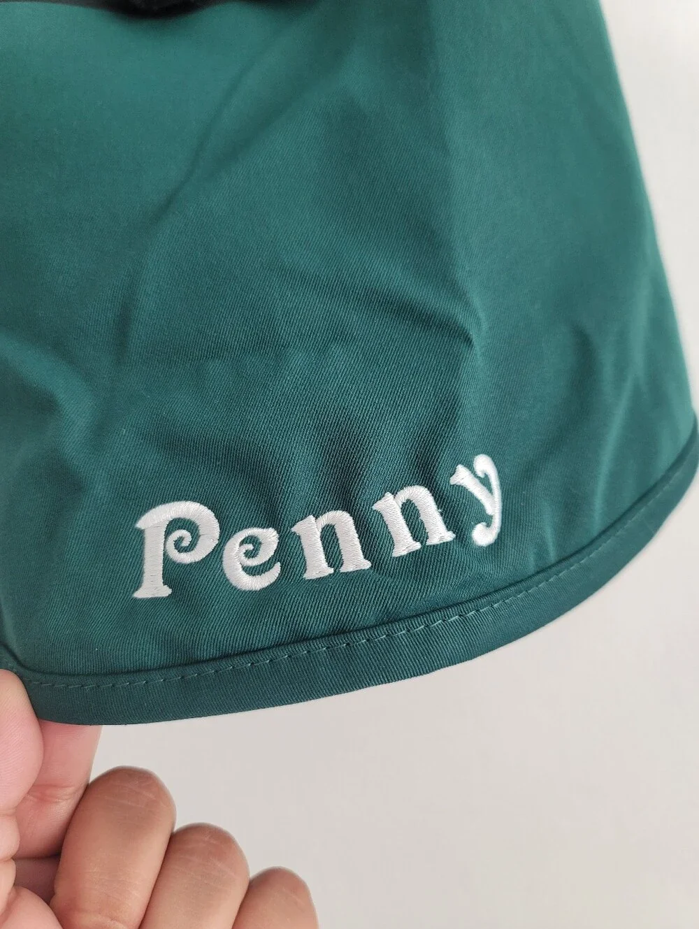 NEW Disney Haunted Mansion Ghost Hostess Pet Costume Medium Personalized‎ PENNY